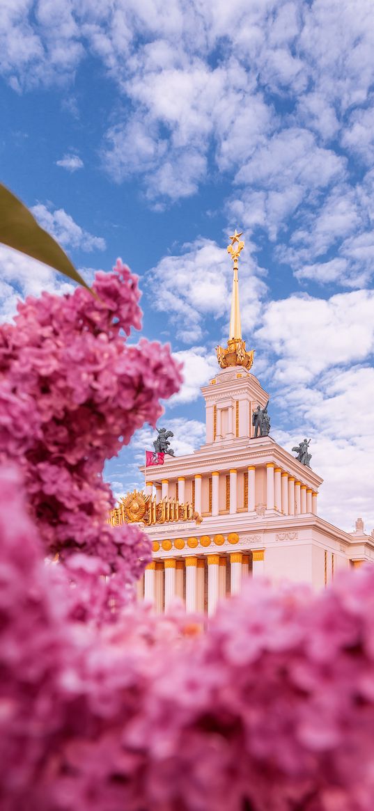 saint petersburg, sky, house, flowers, architecture