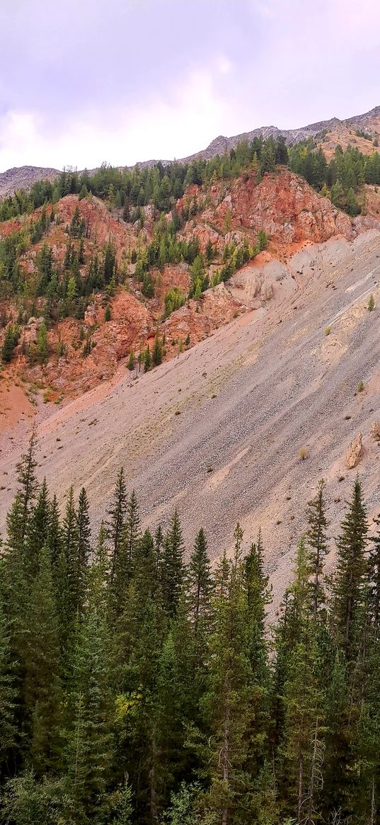 mountains, red rock, forest, altai