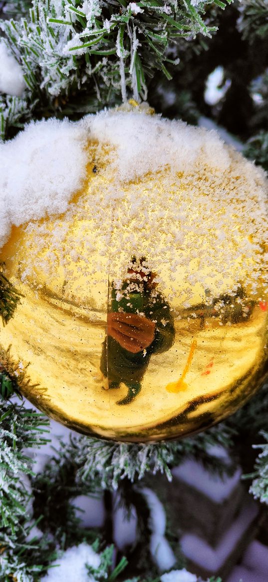 christmas ball, winter, spruce, decoration, reflection