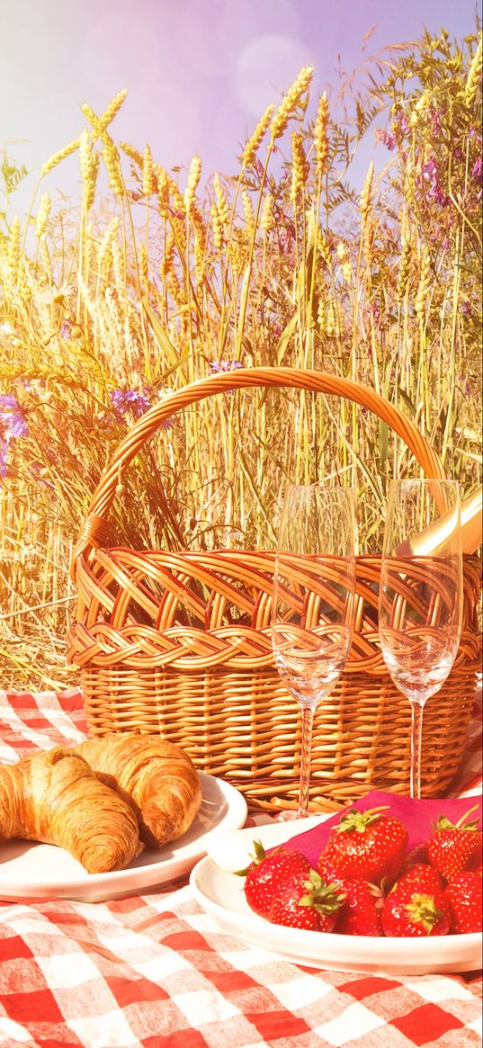 summer, picnic, croissant, strawberry, field, glasses