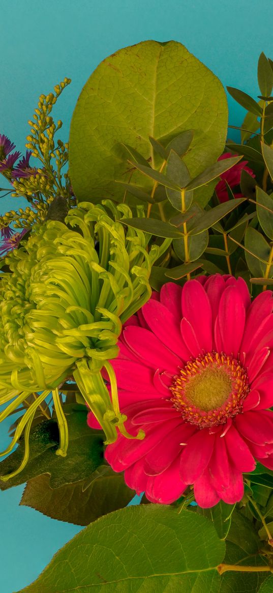 bouquet, pink flower, blue background