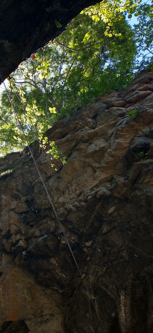 cave, tree, rocks, wallpapers