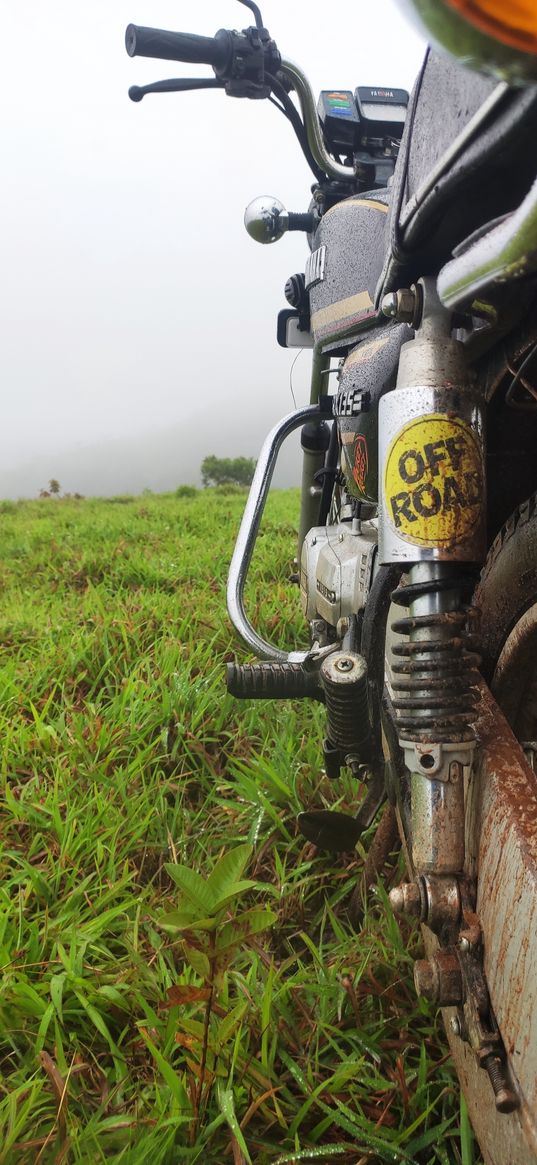 motorcycle, green grass, fog