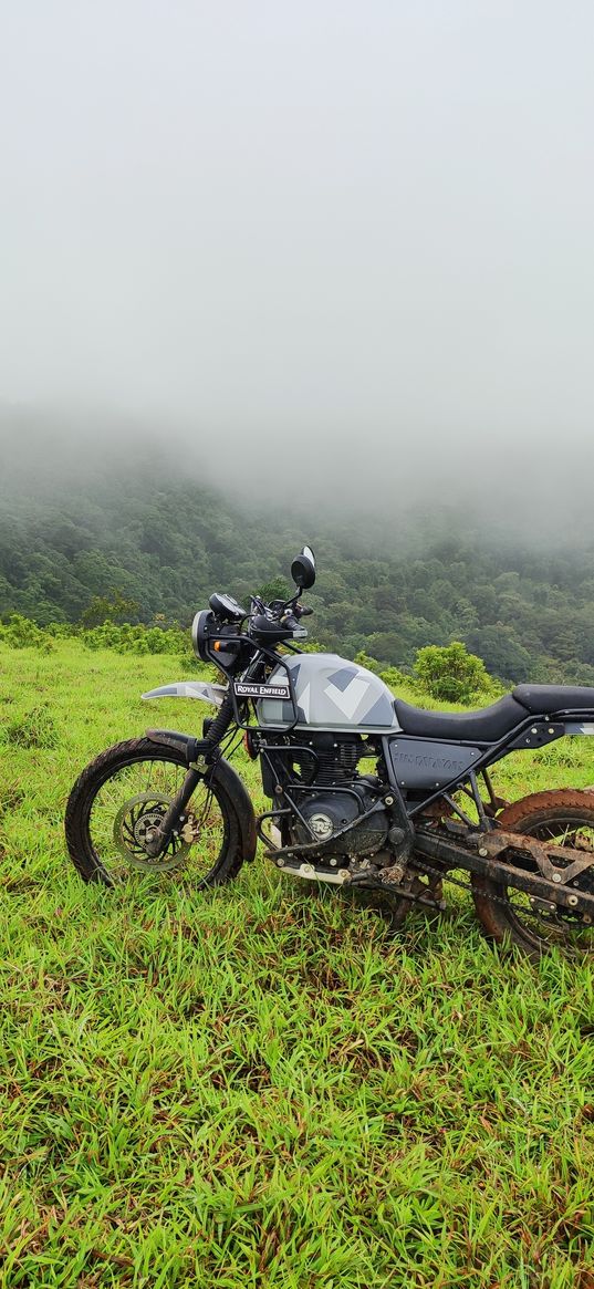 bike, motorcycle, green grass, fog