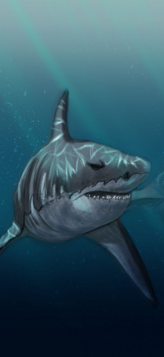 shark, fish, predator, under water, sea, art