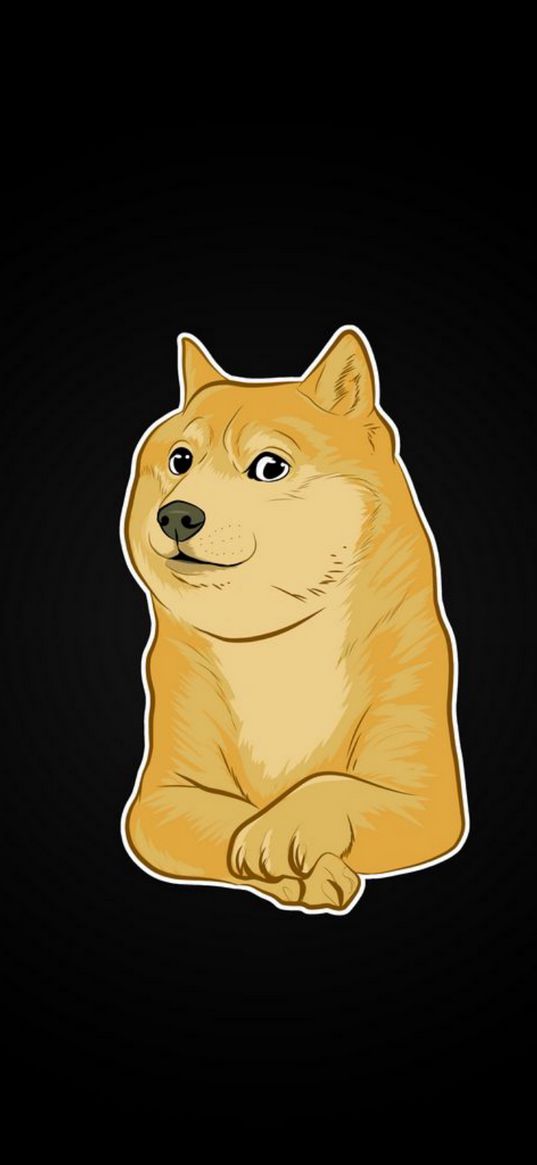 shiba inu, dog, meme, black background