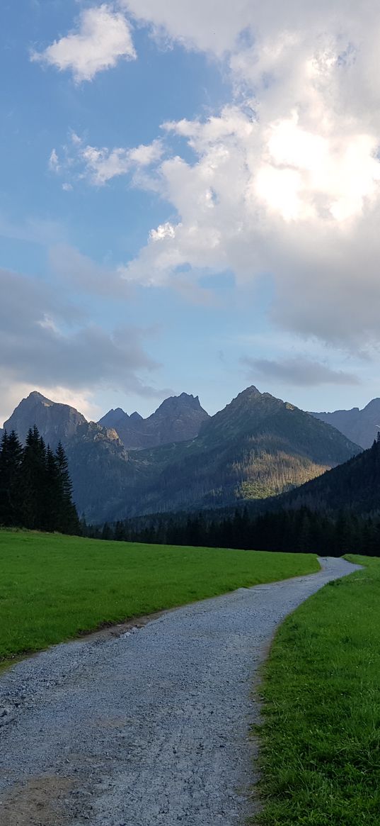 blue sky, mountains, forest, green, grass, nature