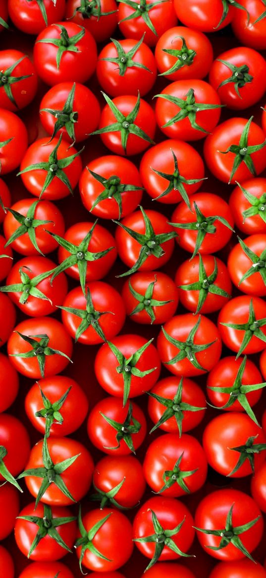 nature, vegetables, tomatoes, red