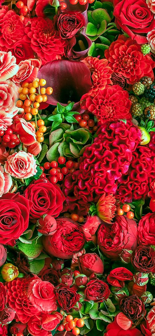 flowers, peony, begonia, roses, red background