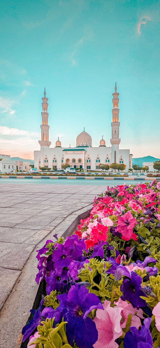 kalba, masjid, flower, uae, blue sky