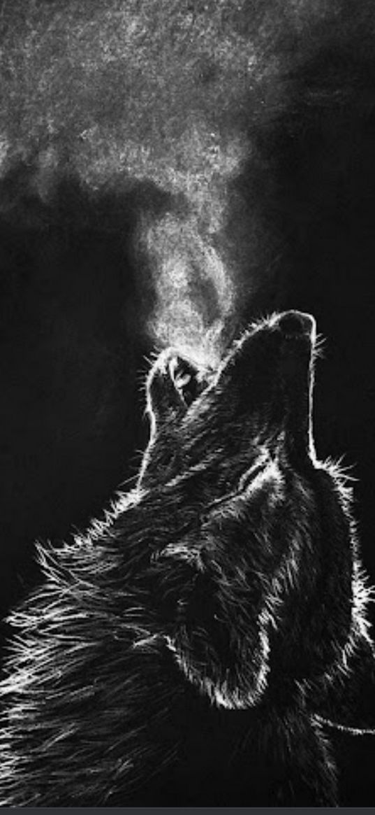 wolf, howl, smoke, black wolf, black background, beast