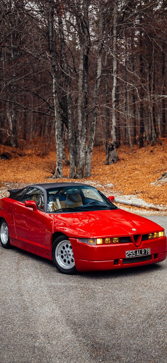 alfa romeo, auto, red auto, forest, road