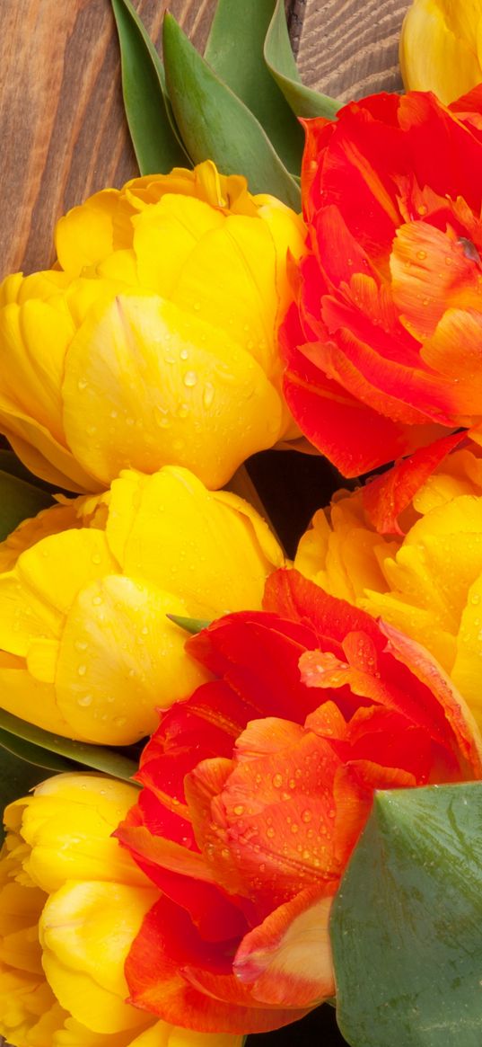 tulips, bouquet, tulip bouquet, yellow tulips, orange tulips