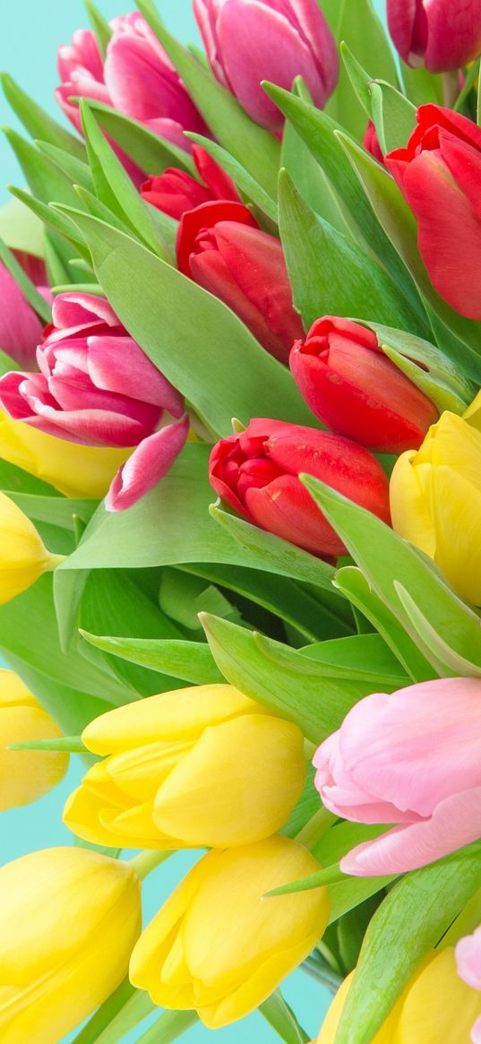 tulips, bouquet, tulip bouquet, pink tulips, yellow tulips, red tulips