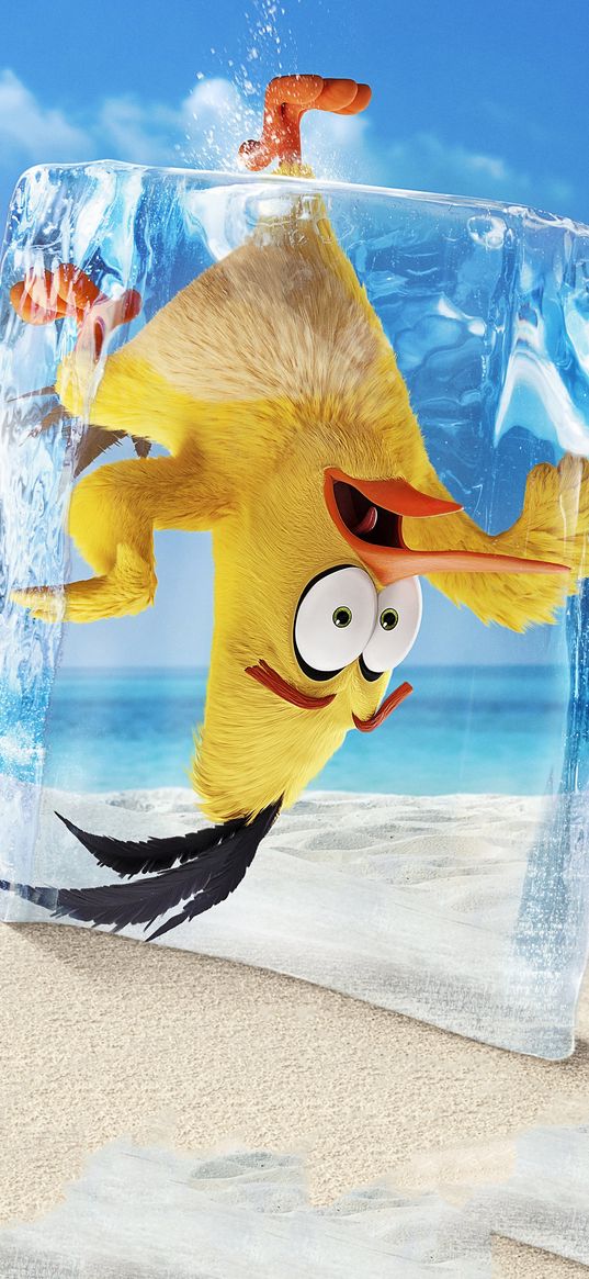 angry birds, cartoon, yellow bird, ice, funny