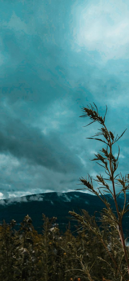 mountains, blue sky, clouds