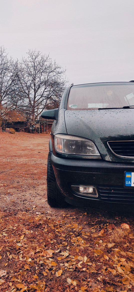 opel, auto, autmn, fallen leaves