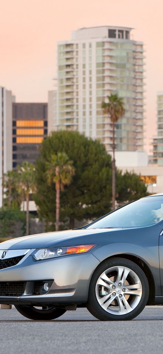 acura, tsx, v6, 2009, metallic gray, side view, style, cars, houses, palms, trees, asphalt, nature