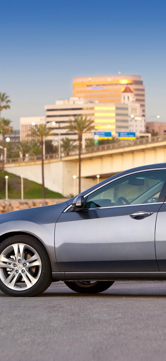 acura, tsx, v6, 2009, metallic gray, side view, style, cars, nature, sky, bridge, asphalt, palms