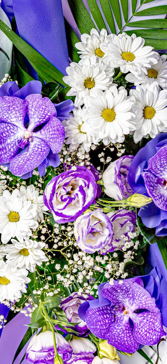 flowers, bouquet, chamomile, orchids, roses, purple, white