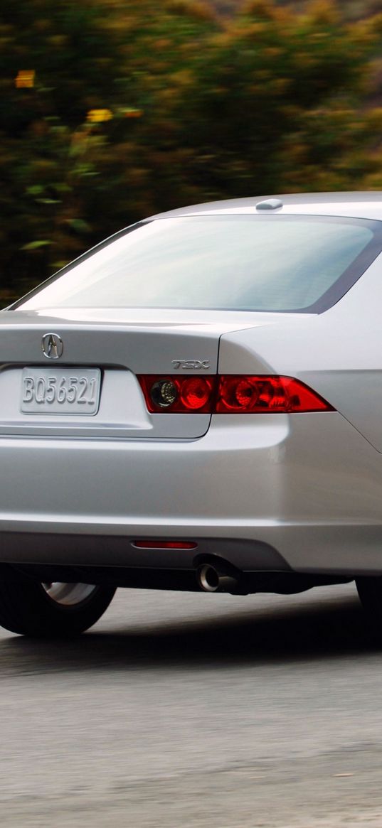 acura, tsx, 2006, metallic silver, rear view, style, cars, speed, shrubs, grass, asphalt