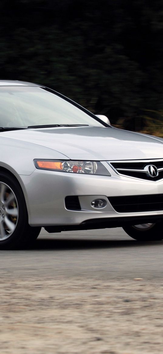 acura, tsx, 2006, silver metallic, side view, style, cars, speed, nature, shrubs, asphalt