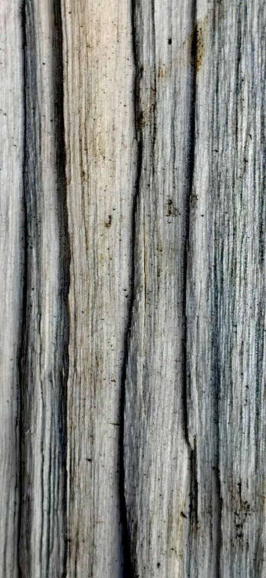 wood, texture, grey