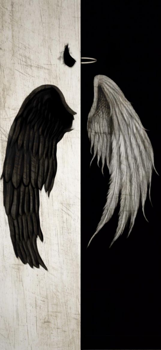 wings, black, white