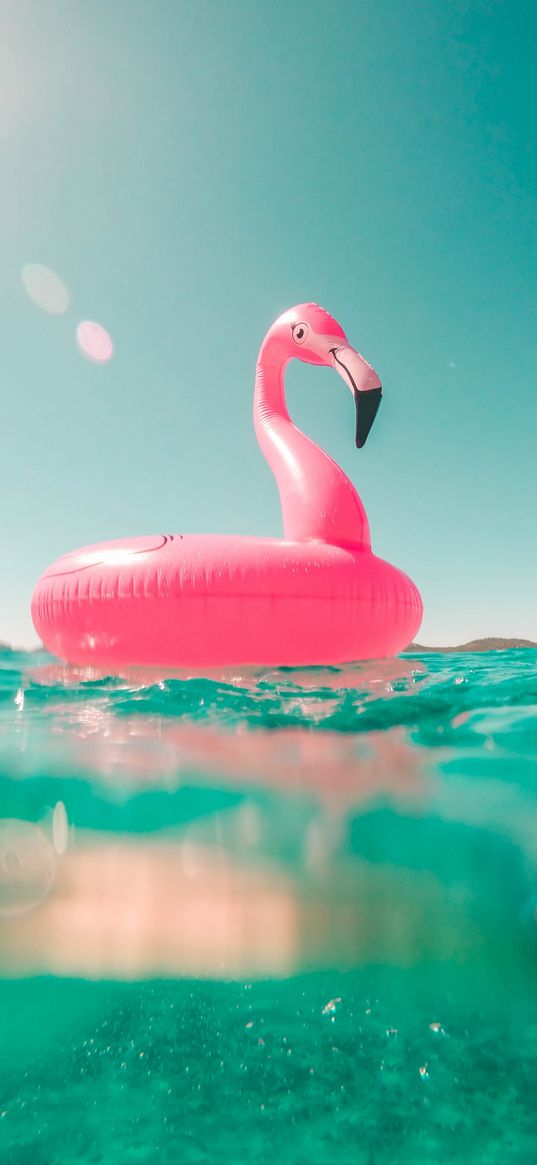 sea, beach, summer, flamingo, pink