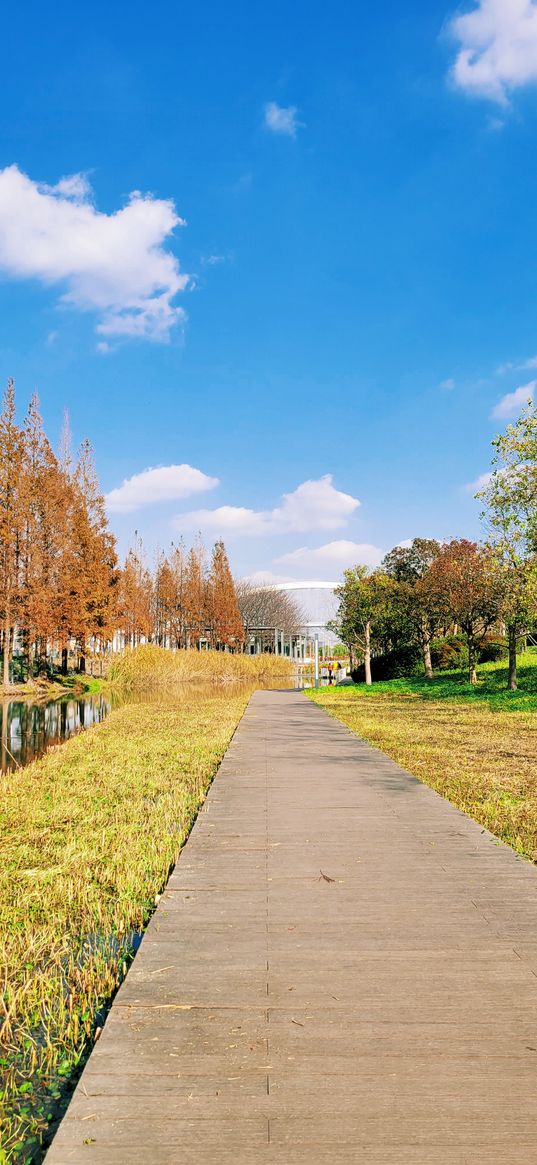 landscape, trail, trees, sky, clouds, nature