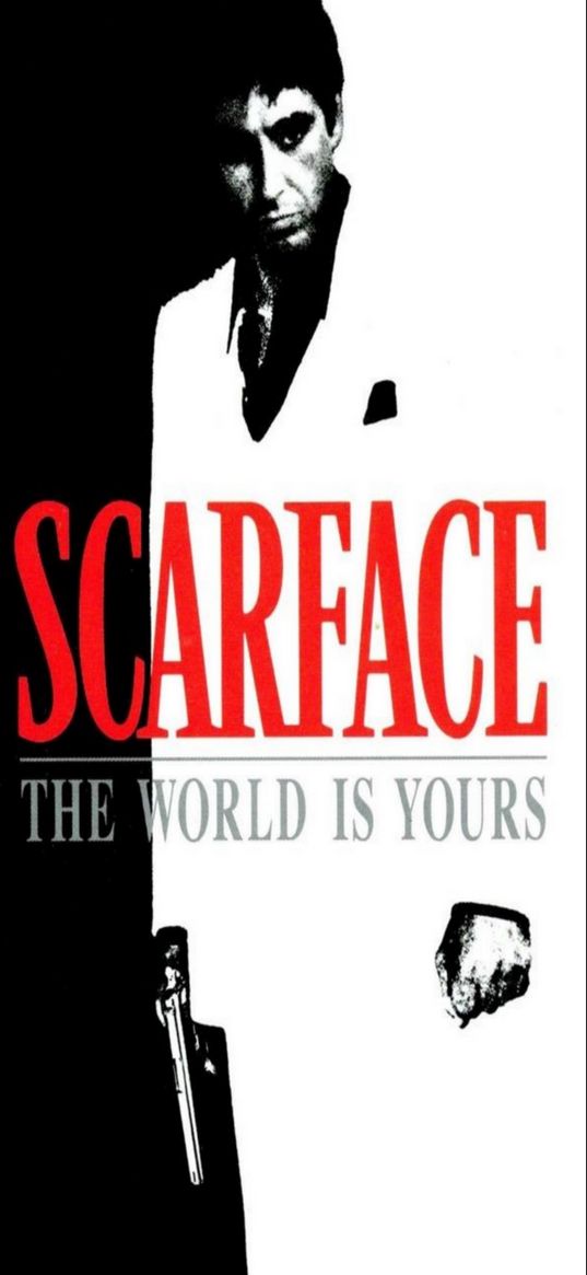 scarface, tony montana, al pacino, elvira, movie, the world is yours, white, black