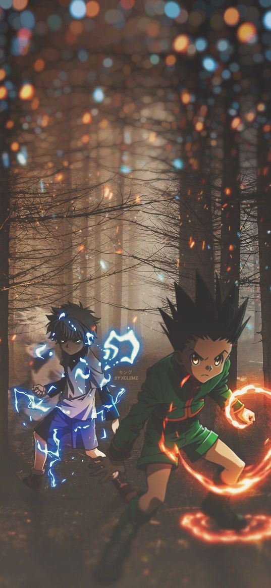 anime, hunterxhunger, gon, killua