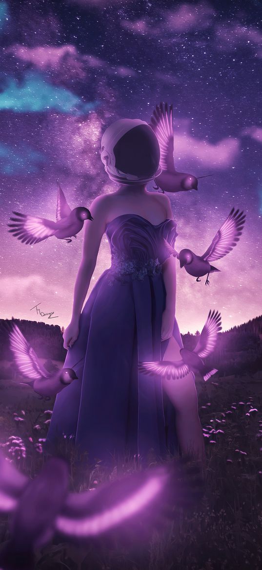 girl, helmet, birds, fantasy, purple background