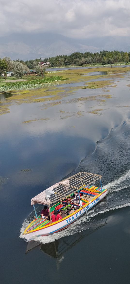 boat, water, water lilies, kashmir