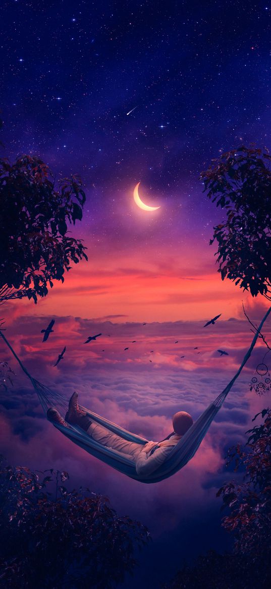 man, clouds, night, moon, birds, trees, sunbed, nature