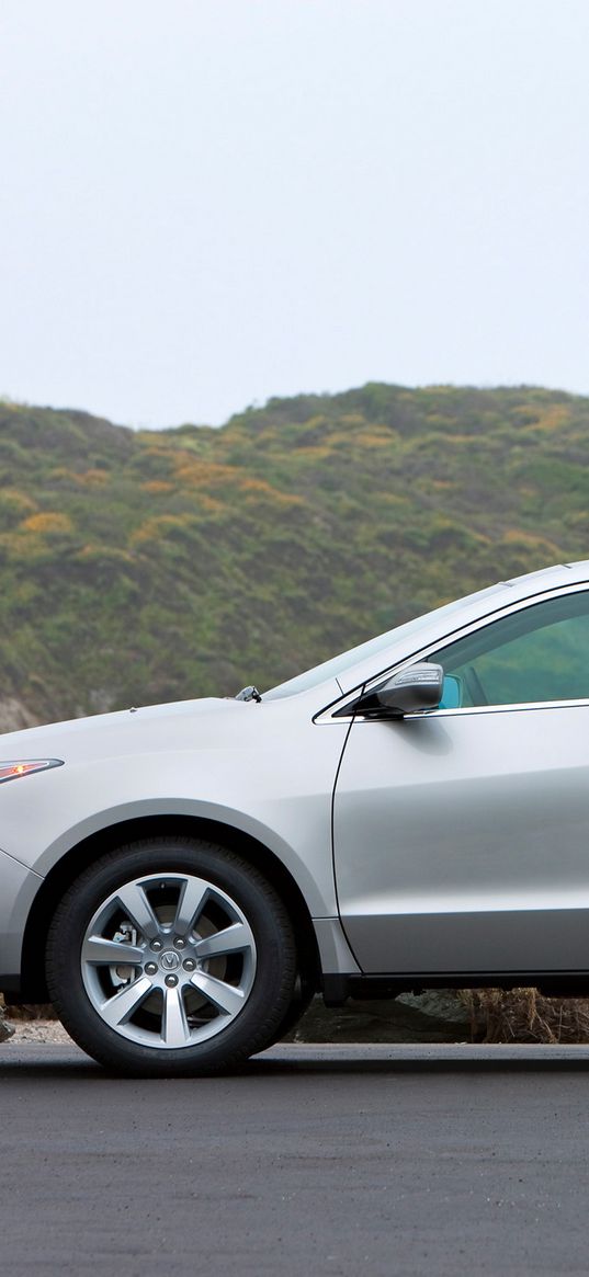 acura, zdx, 2009, silver metallic, side view, style, cars, nature, asphalt, grass