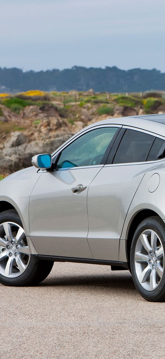 acura, zdx, 2009, silver metallic, side view, style, cars, nature, trees, grass, asphalt