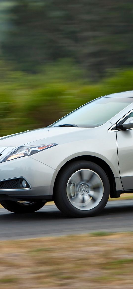 acura, zdx, 2009, silver metallic, side view, style, cars, speed, shrubs, trees