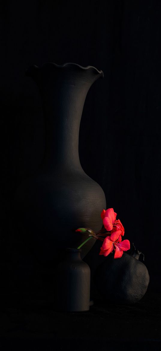 vase, still life, flower, red, black, minimalism