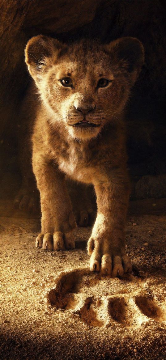 the lion king, movie, disney, funny, cartoon