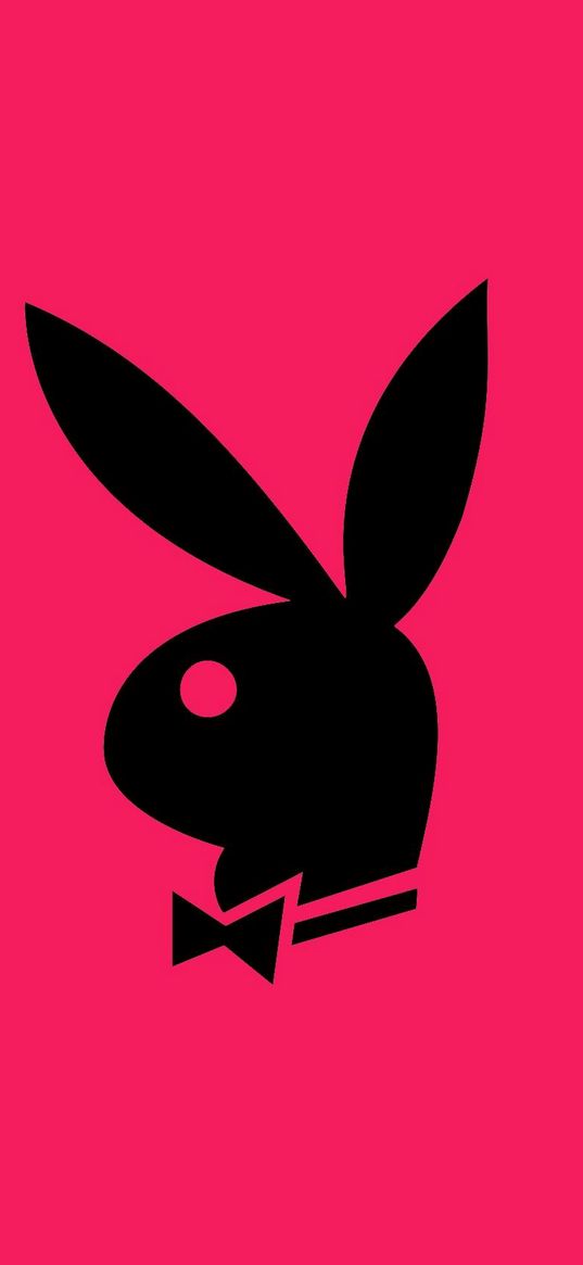 rabbit, playboy, raspberry background, logo