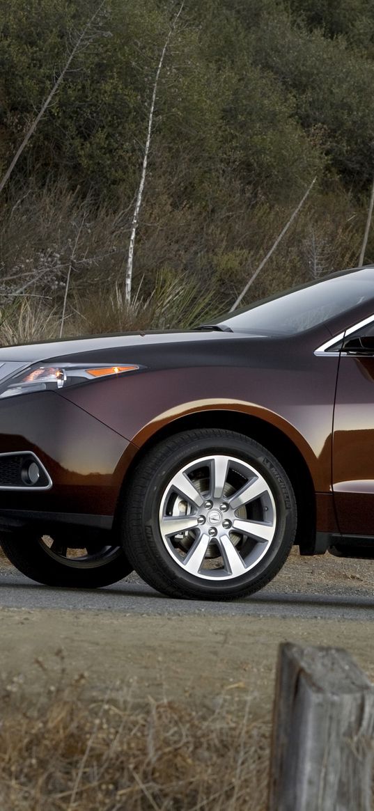 acura, zdx, 2009, brown, side view, style, cars, nature, shrubs, grass