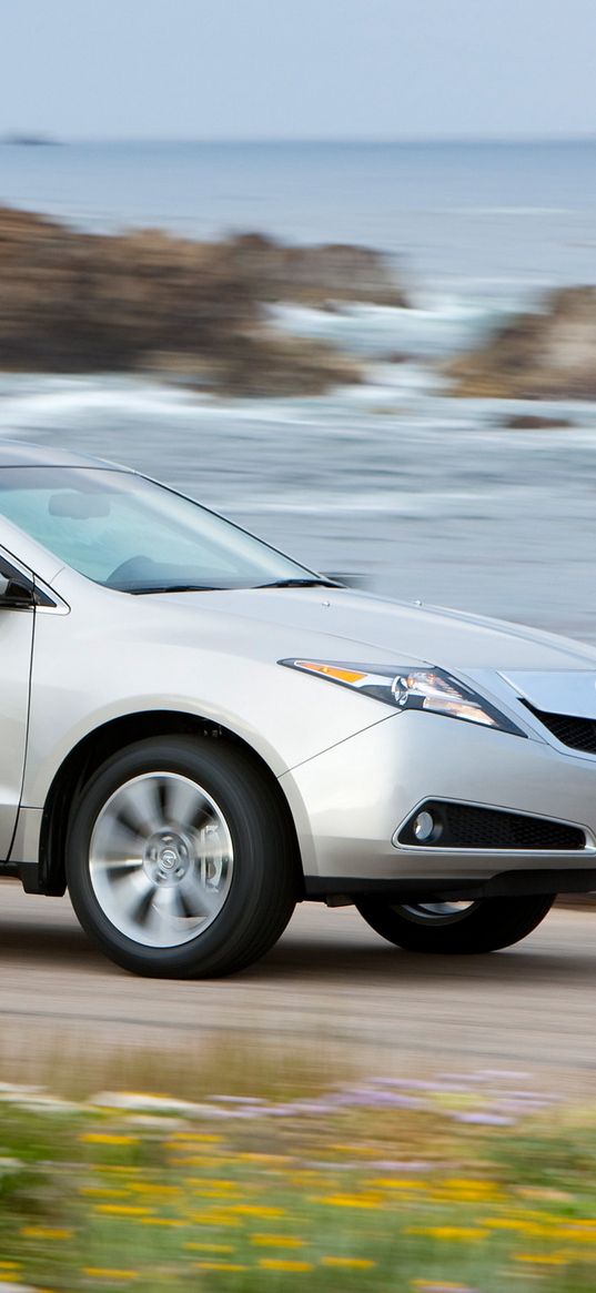 acura, zdx, 2009, silver metallic, side view, style, cars, speed, flowers, grass, sea