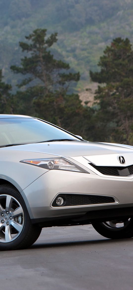 acura, zdx, 2009, silver metallic, side view, style, cars, forest, trees, grass