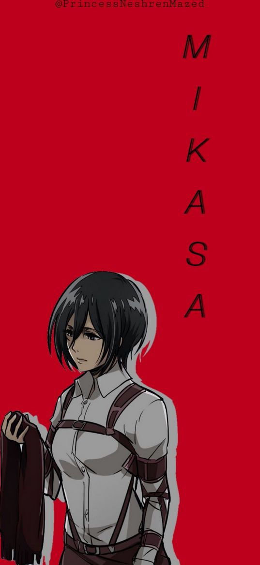 mikasa, attack, anime, attack on titan, mikasa ackerman