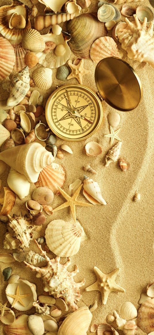 sand, shells, compass