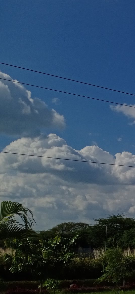 clouds, sky, trees, panorama, green, blue