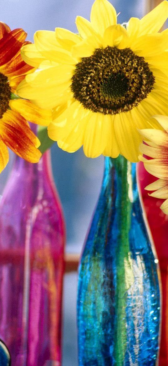 sunflowers, leaf, bright, bottles, light