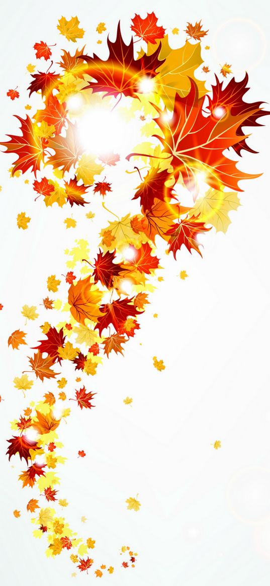 leaves, autumn, minimalism, white background