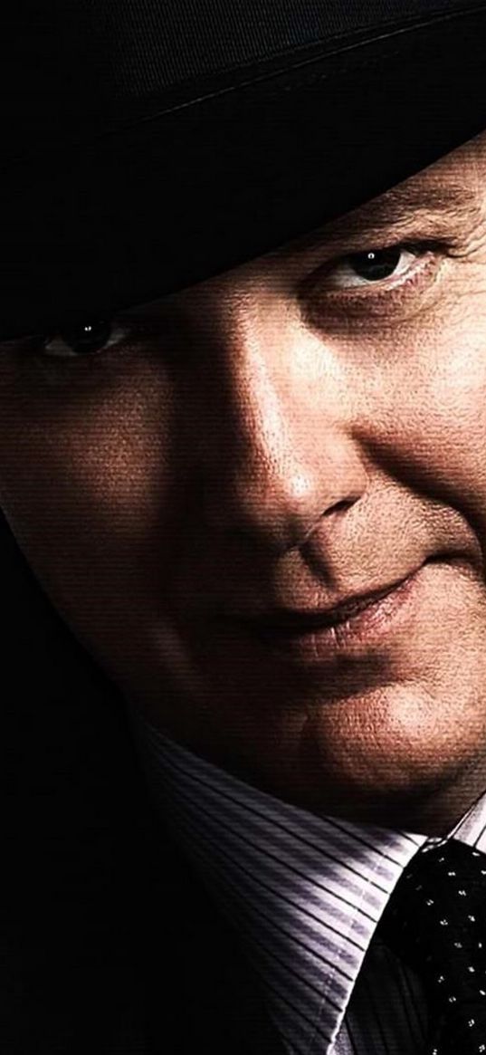 raymond reddington, blacklist, tv show, tv series